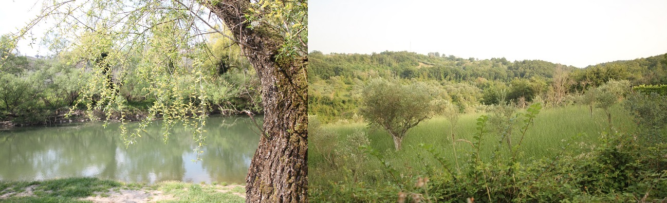 fiume e colline Alvignanello