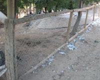 Volatili uccisi nello zoo di Quilpué