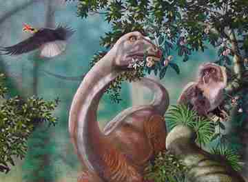 Illustrazuine di un sauropode.