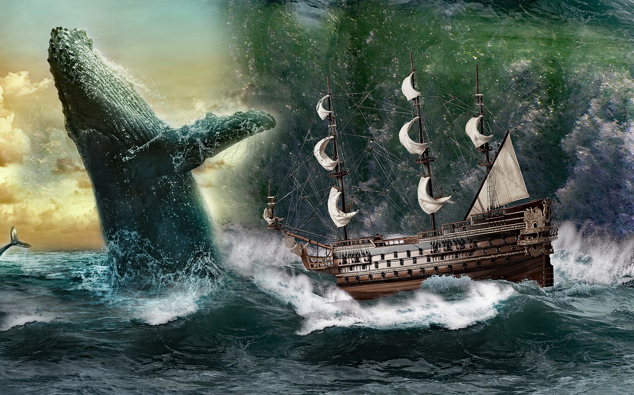 Moby Dick la Balena bianca è esistita veramente?