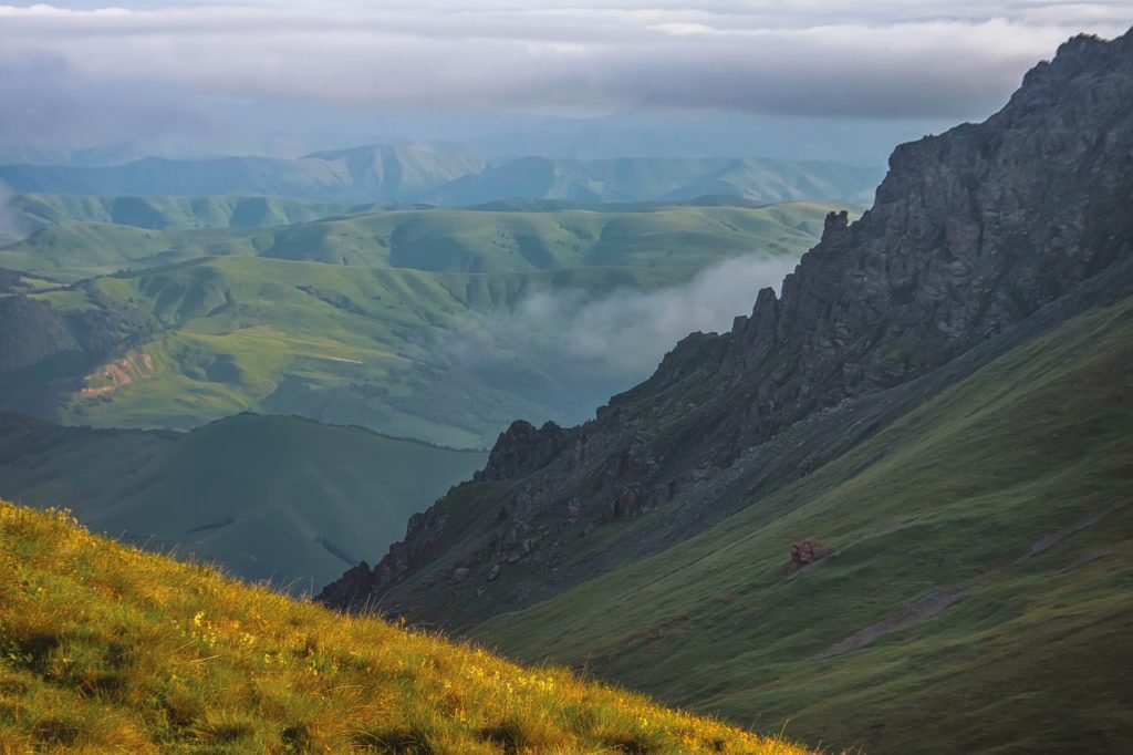 Ritorna il chupacabra in Russia