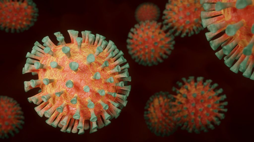 Chupacabra e covid 19 virus noto anche come coronavirus