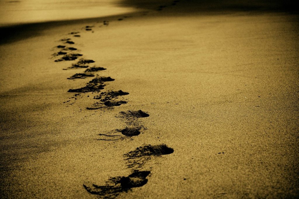 In spiaggia all'Irto tracce di un animale