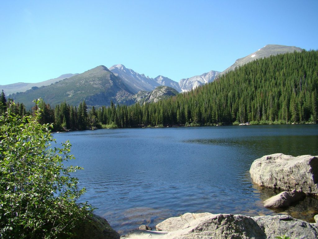Questa immagine ha l'attributo alt vuoto; il nome del file è bear-lago-california-1024x768.jpg