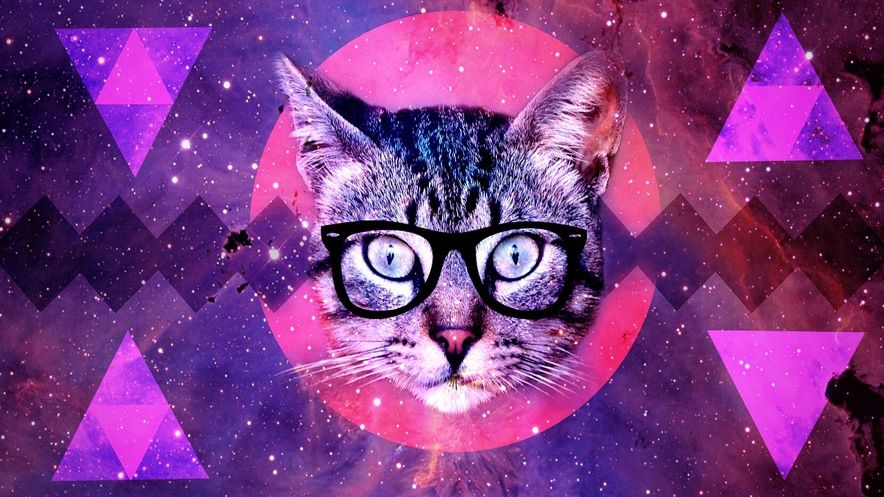 La teoria dei gatti alieni che spiano l’uomo