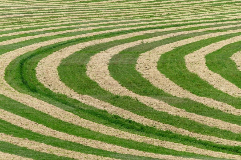 Cerchi nel grano o crop circle