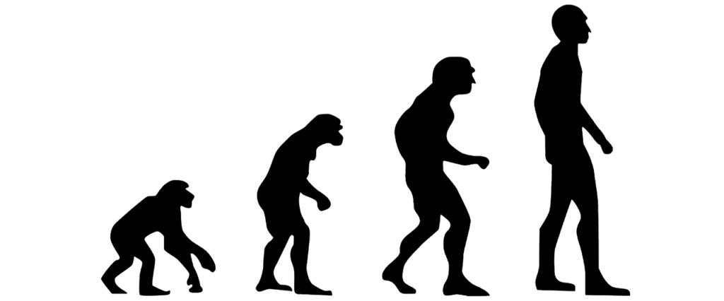 La teoria della scimmia drogata