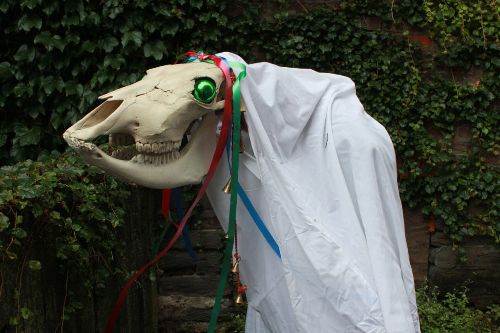 Mari Lwyd la Giumenta Grigia