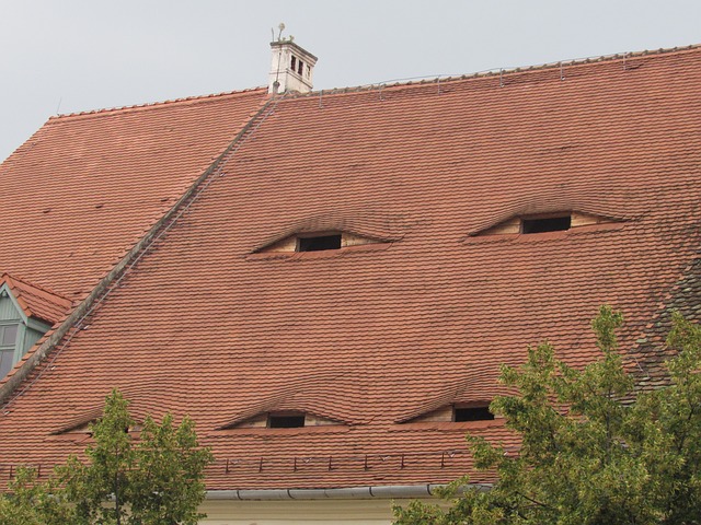 Le case con gli occhi a Sibiu, Romania.