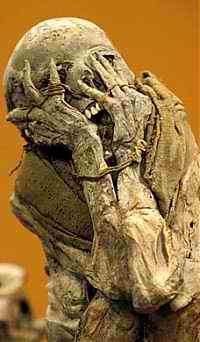 La prima mummia terrorizzata in Perù
